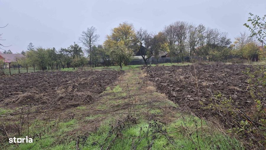 CASA 90m2 + 3052m2 TEREN INTRAVILAN - A1/Olteni (30 min de Buc) - 13