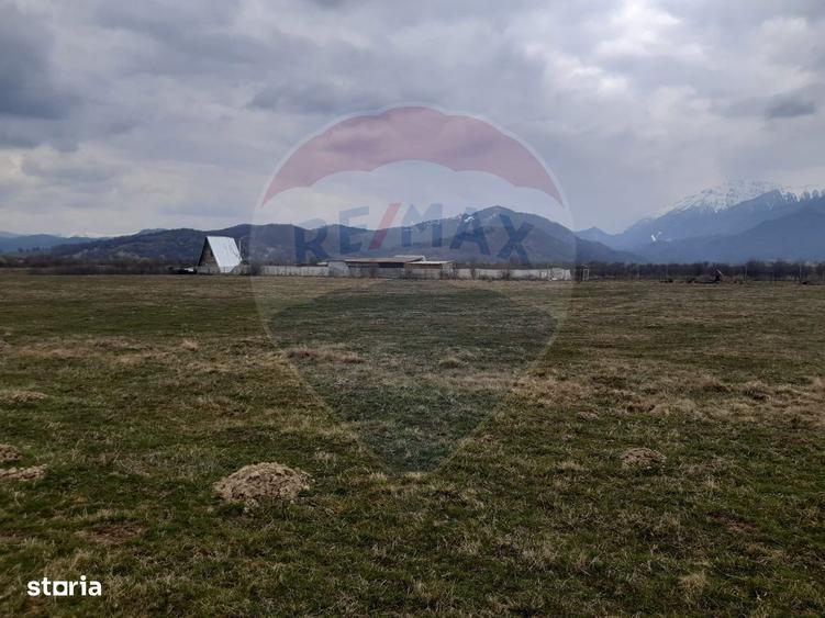 Teren 10,000mp Rasnov / Drumul Panicel - 6