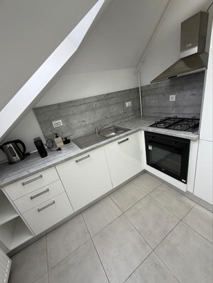 3 Camere I OTOPENI I Restaurant Iancu - 4