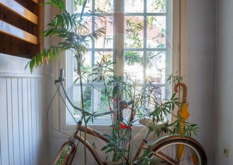 Casa / Vila, 10 cam., Lidl Salaj, multifunctionala - 9