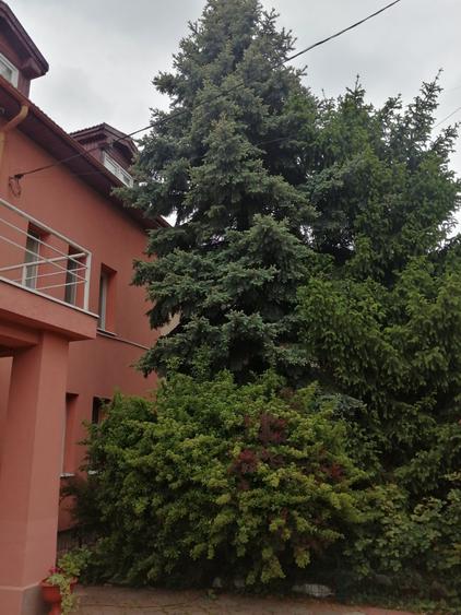 Vila cochetă Pipera, teren 650 mp - 25