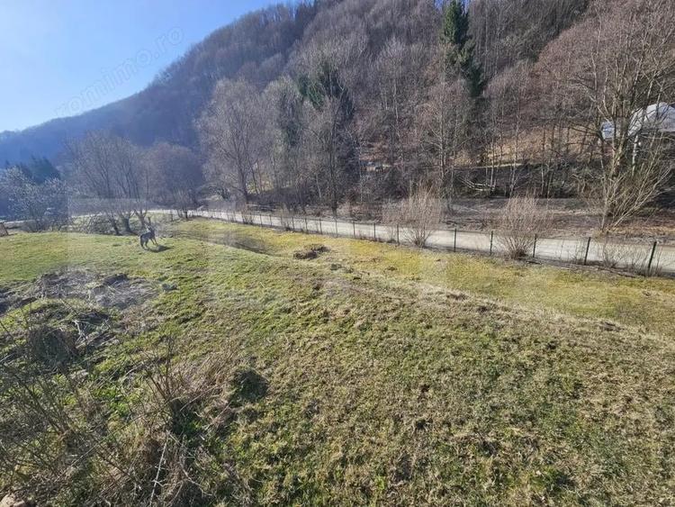 Casa de vacanta-Exclusivitate-Cumparator Comision 0-Sat Fiad ( Comuna Telciu) - 6