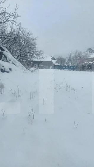 Casa tradi?ionala cu teren generos Covasna Voinesti - 6