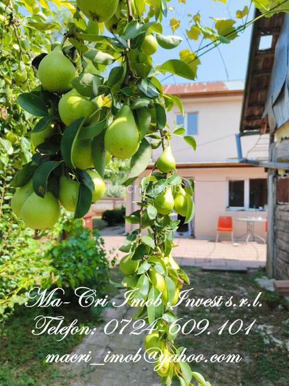 VILA-5 camere-in Gruiu, jud. Ilfov