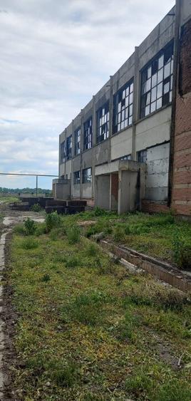 Activ de vanzare la 10 Km de Municipiul Braila ,3 Km de Dunare - 13