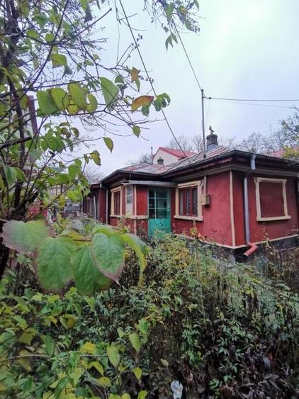 Titan Minis Casa Teren de 345mp - 1