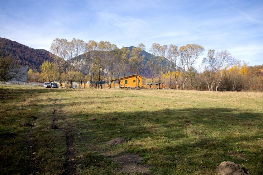 Teren intravilan 5723mp Zarnesti Tohanita- case de vacanta,investitie in turism - 5