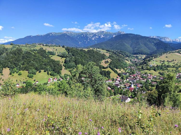 Vand teren intravilan in Bran cu priveliste asupra Muntilor Bucegi - 4