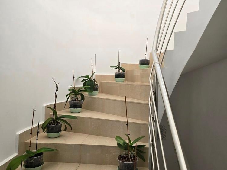 Vindem vila cu piscina si teren tenis, Branesti - Pasarea, renovata lux, - 37