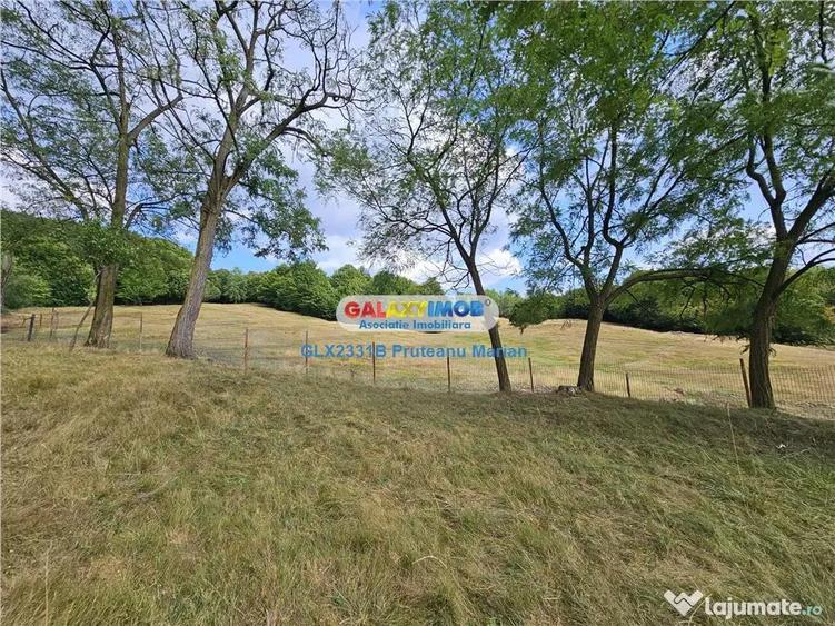 Teren 2680 m situat la Curtea de Arges cu iesire spre Trans - 4