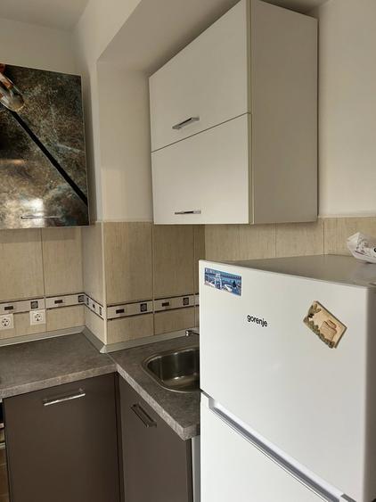 Greenfield, Padurea Baneasa loc de parcare garsoniera mobilata an 2009 - 7