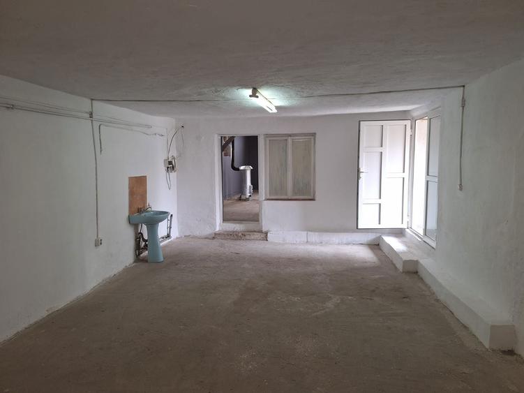 Inchiriez spatiu in Turnisor - 4