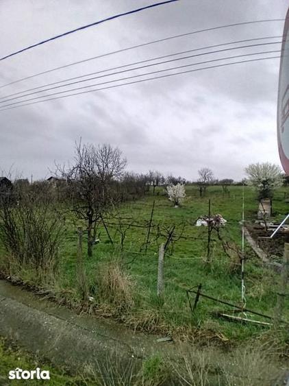 Teren intravilan Coldau la drumul european - 7