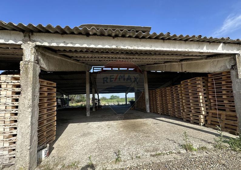 Spa?iu industrial Hale si Fabrica de lemn - 14