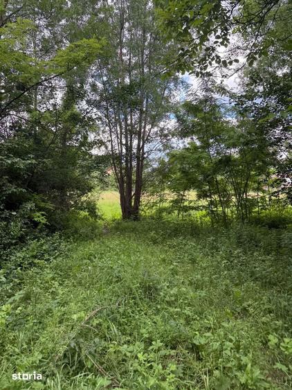 Teren intravilan 683 mp deschidere la strada asfaltata ! - 20