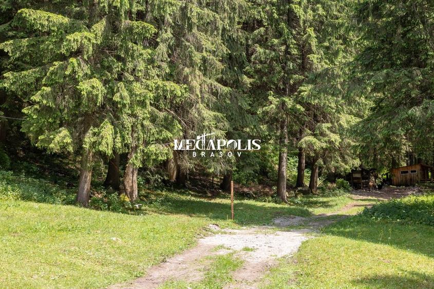 Pretabil Hotel,Pensiune,Case de Vacanta/Utilitati/PUZ - 22