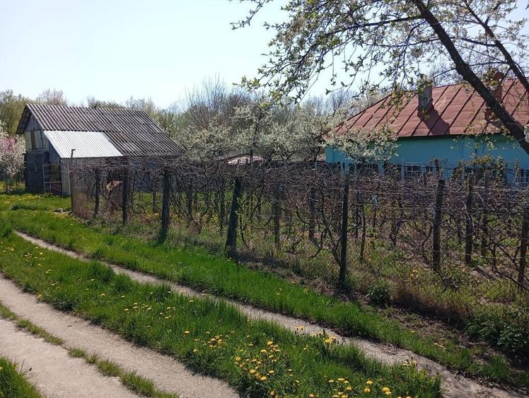 Casa de vanzare in Jud. Arges. - 14
