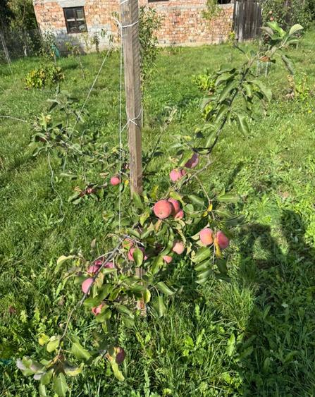 Casa Gornesti renovata 2025 semifinisata - 1