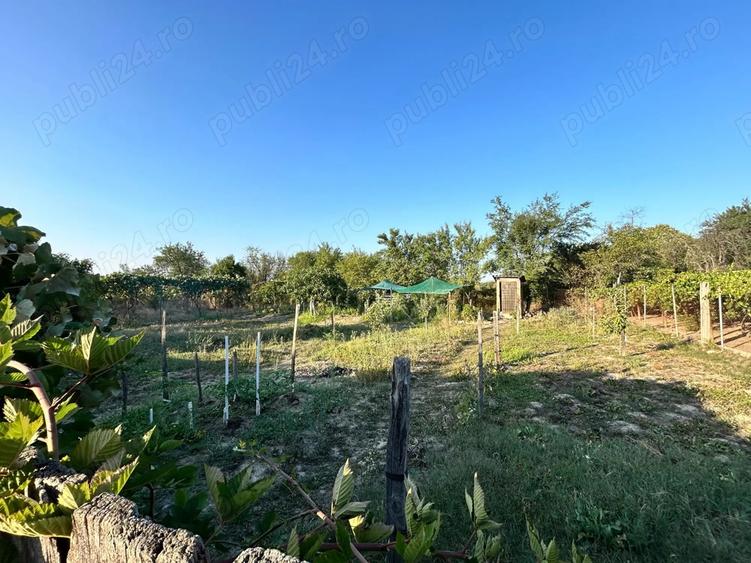 Vand casa batranesca + 1000mp teren intravilan, com. Dragutesti, sat Urechesti - 9