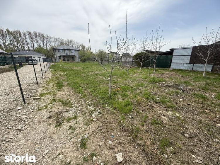 Teren Domnesti 840mp - 3
