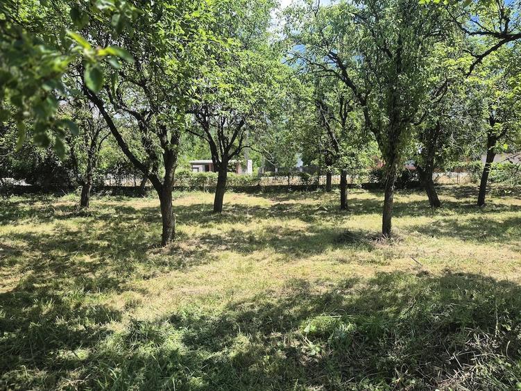 Vand teren intravilan 2295 MP in Bogati,jude?ul Arges - 7