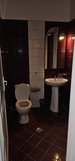 Gara-spatiu comercial diverse activitati - 5