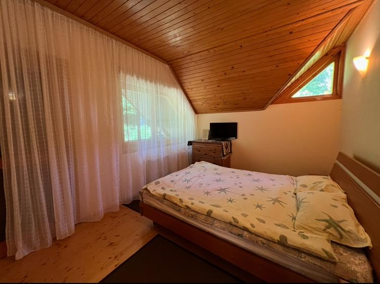 Vila la Busteni - 21