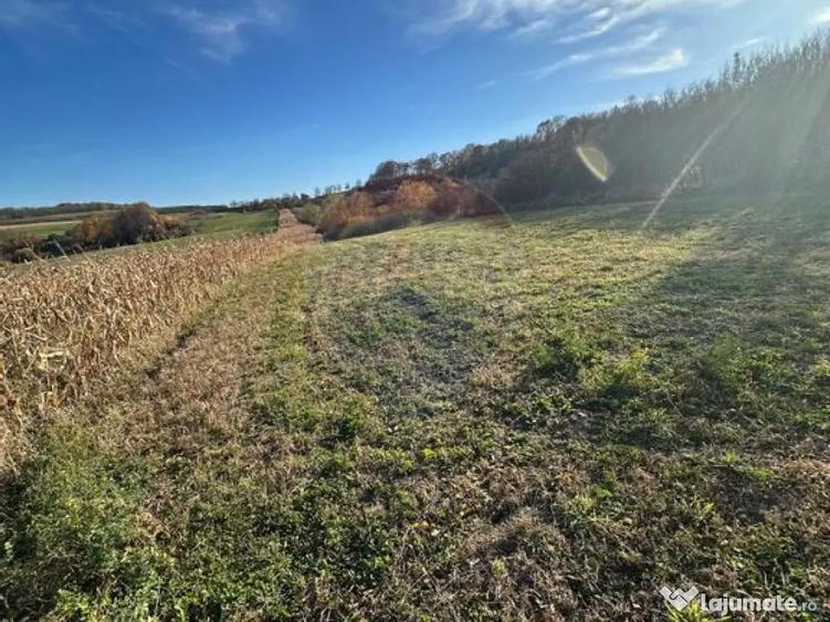 DE VANZARE - TEREN agricol - 2