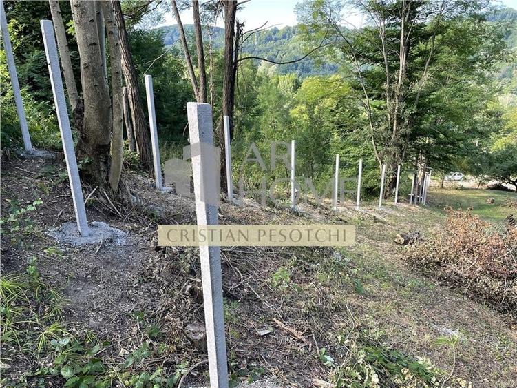 Teren Provita de jos 2300 mp Centru - 3