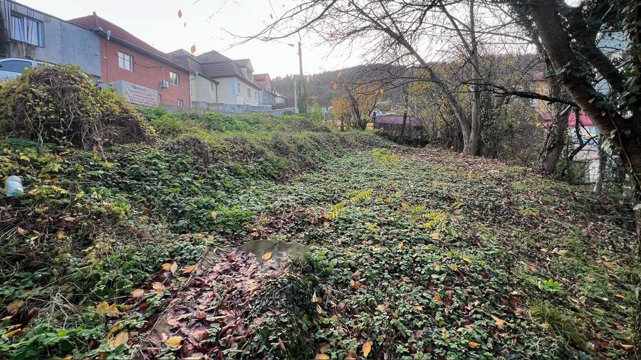 Teren intravilan 1001 mp în Reșița, aproape de centru - 2