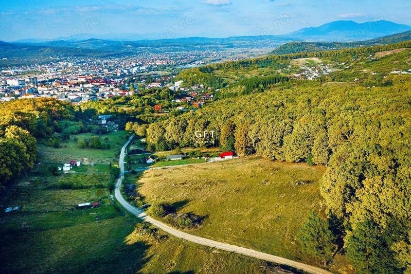 Teren , sub liziera padurii. Str. Tabara, 7 min. de Centru Pietonal - 3