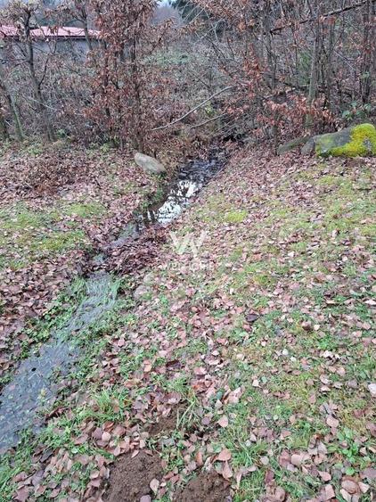 Teren deosebit pozitionat, cu livada, langa padure,  pe Valea Avrigului - 3