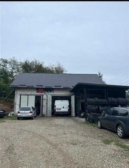 SERVICE DE VANZARE IN EXCLUSIVITATE IN BARSANESTI (BC) - 1