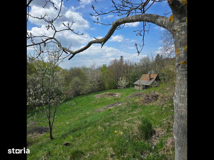 Teren de vis cauta proprietar. - 11