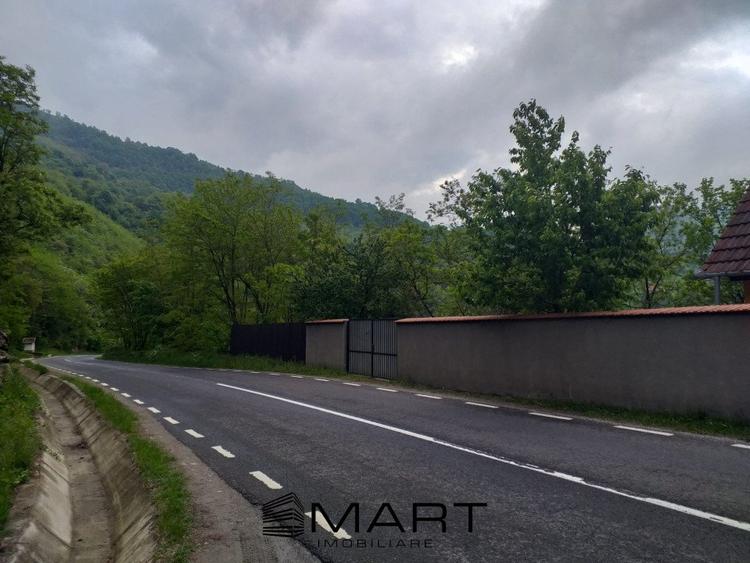 Teren extravilan 7432 mp, cu cabana de lemn Capalna AB - 9