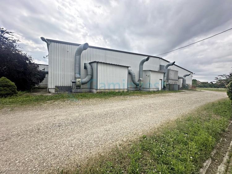 Hala de productie sau depozitare,de inchiriat,2 minute de Calea Borsului,Santion - 3