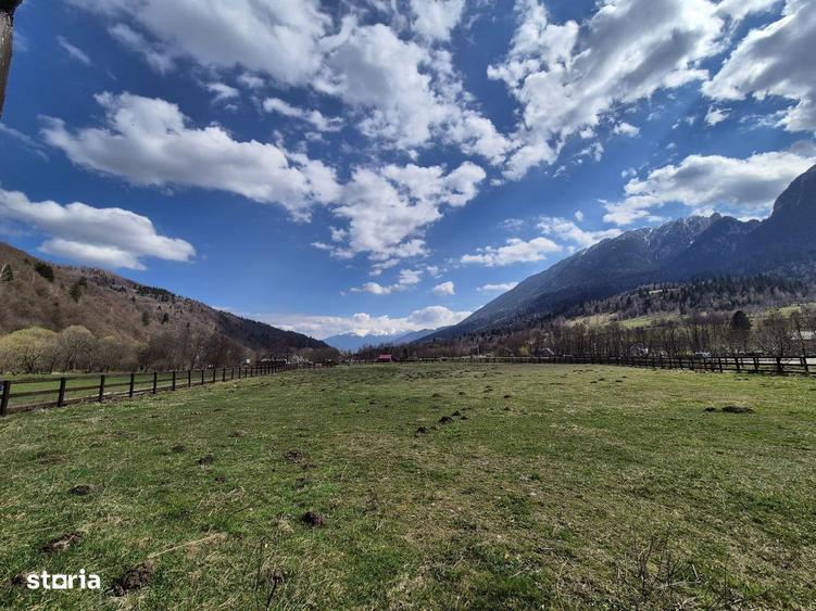 Teren intravilan cu vedere la munte, 1200 mp, acces usor, Plaiul Foii - 8