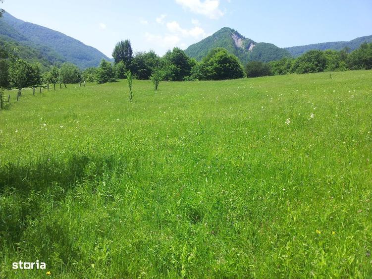 Teren unicat baraj Siriu Buzau 73000 mp - 4