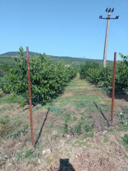 Vind teren intravilan - 4