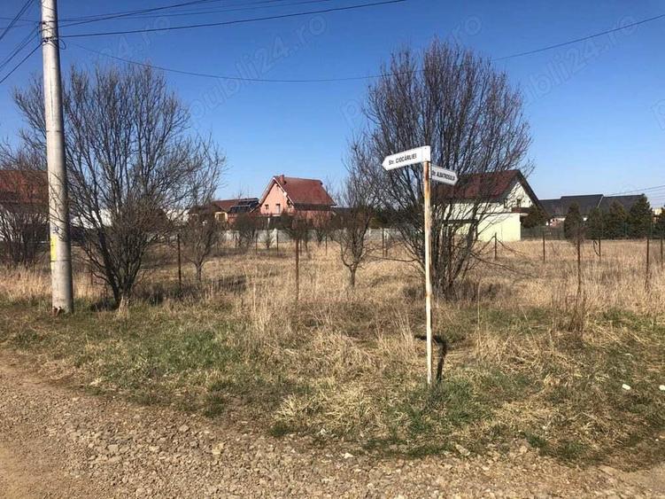 Proprietar, vand teren Dumbravita 734mp, pe colt, toate utilitatile - 9