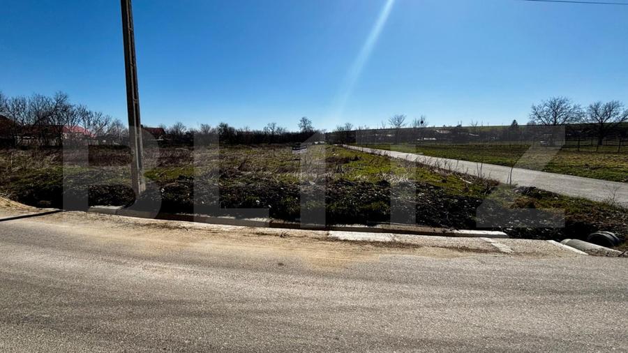 Teren IV 1.331 mp, deschidere bilaterala, toate utilitatile, Mischii - 4