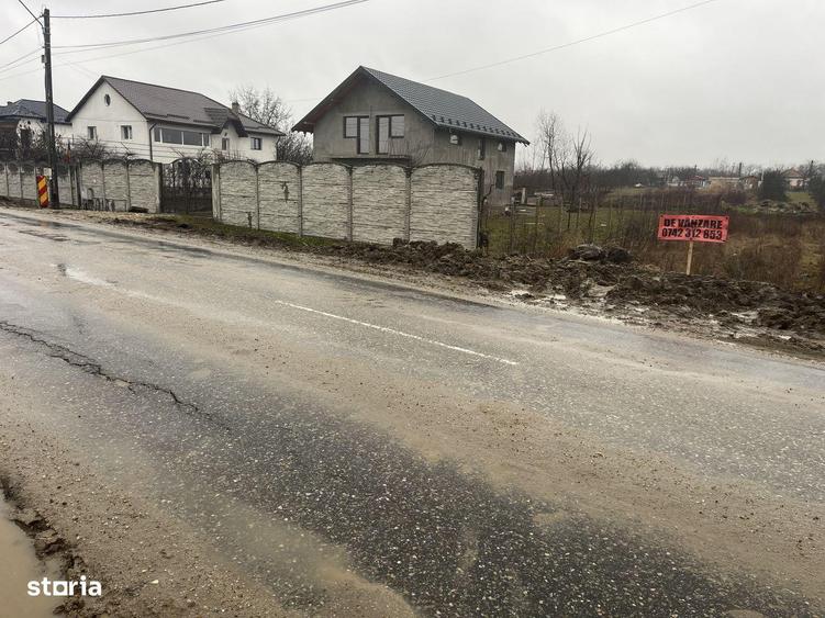 Teren Bradu 907 mp - 4