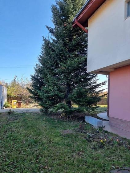 Propietate deosebila de peste 750 mp utili in Otopeni! - 2