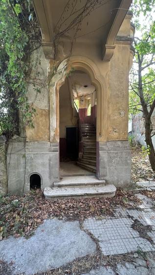 VILA INDIVIDUALA CISMIGIU | INTR. TEMISANA - 19