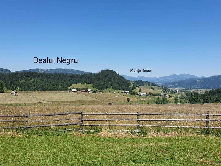 Teren 10.011mp sat Sarisor, comuna Saru Dornei, judetul Suceava - 1