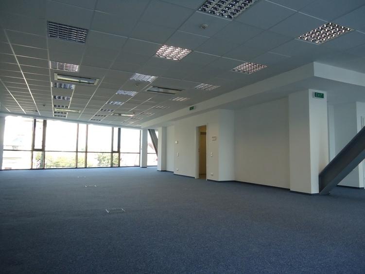 Muncii, Delea Veche 24 - comision 0%, reprezentam proprietarul! - 8