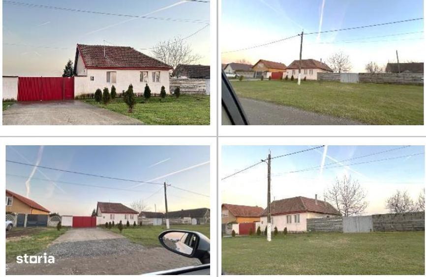 cpta 1/8 din Teren cu casa Loc. ?imand, jud . Arad - 5