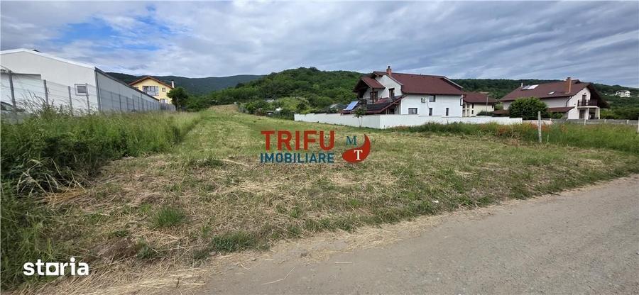 Teren de vanzare cu toate utilitatile in zona Alba Micesti - 1