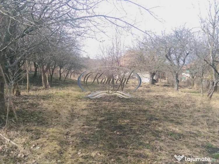 Teren pentru casa sau duplex in sat Gheorgheni - 5