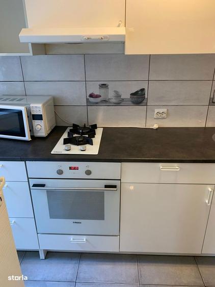 Ozana Pallady cu centrala si parcare. - 7